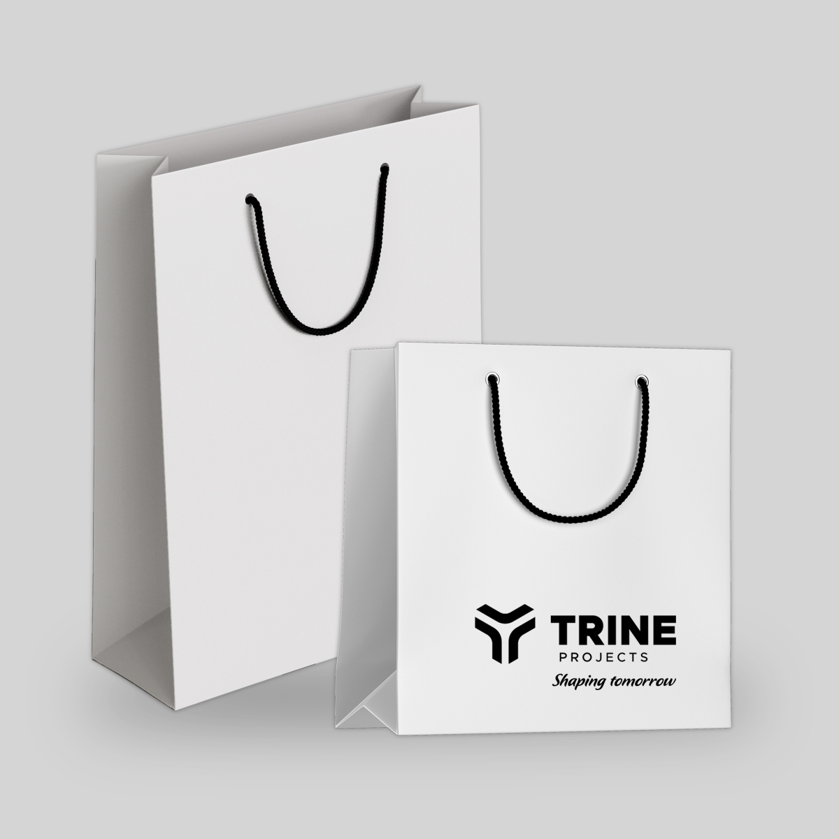 Black Customized Paper Carry Bag at Best Price in Coimbatore | Aur Shoppe