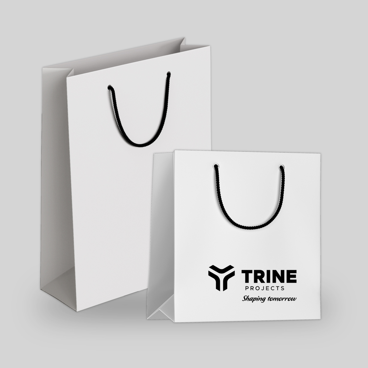 Details 75+ customized paper bags with logo - in.duhocakina